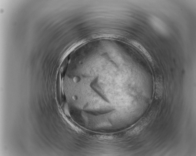 X0000087400890200705042032