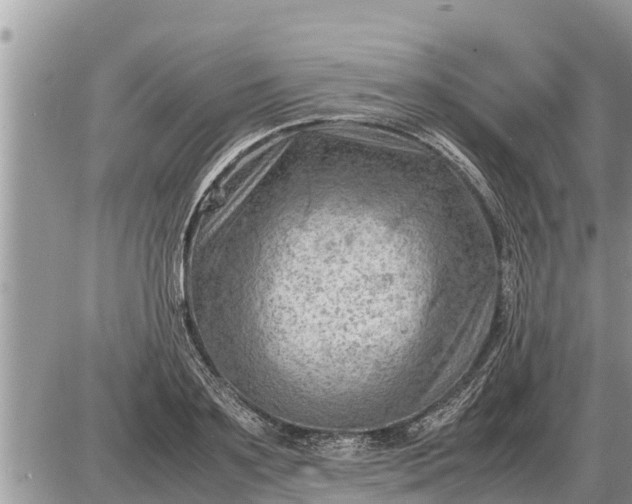 X0000087400891200705042032