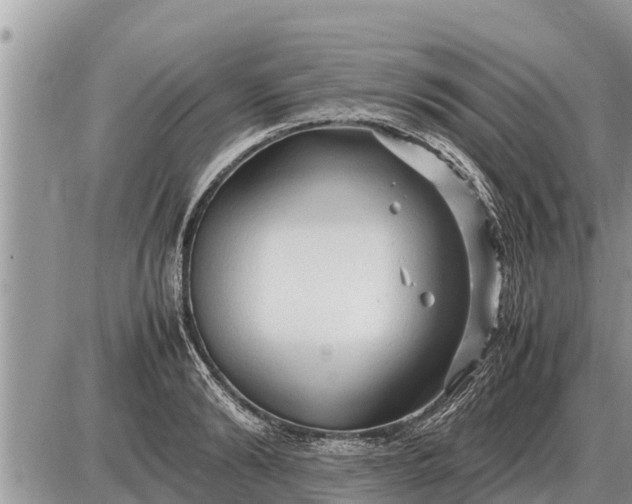 X0000087400894200705042032