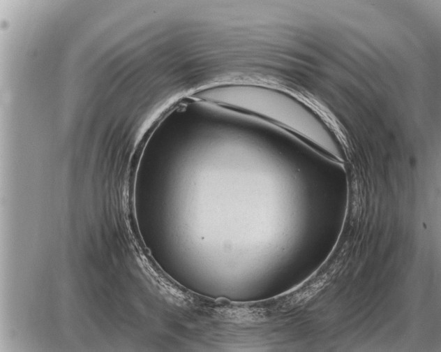 X0000087400896200705042032