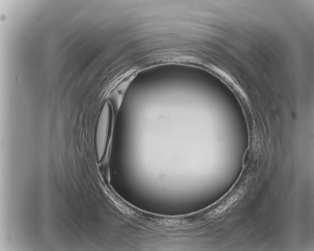 X0000087400897200705042032