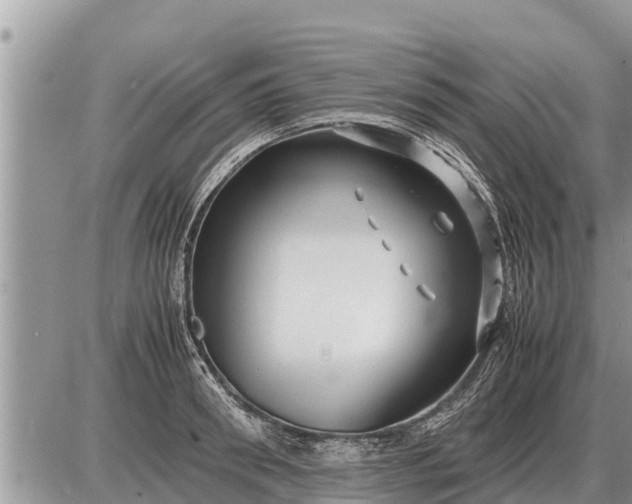 X0000087400898200705042032