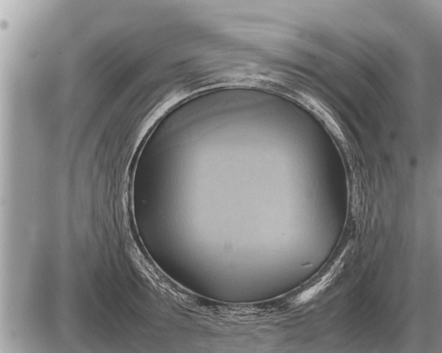 X0000087400899200705042032