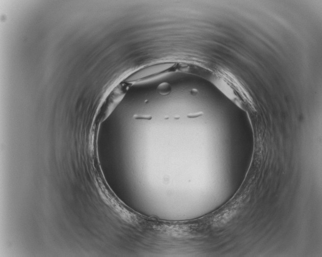 X0000087400900200705042032