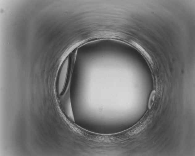 X0000087400901200705042032