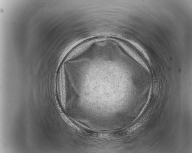 X0000087400903200705042032