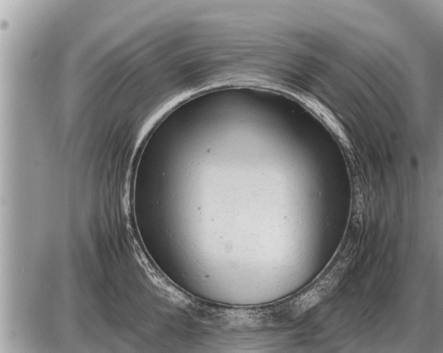 X0000087400904200705042032