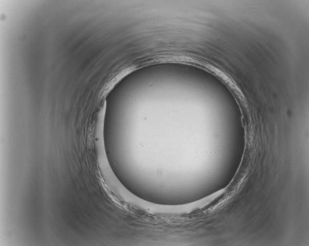 X0000087400905200705042032