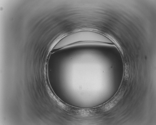 X0000087400906200705042032