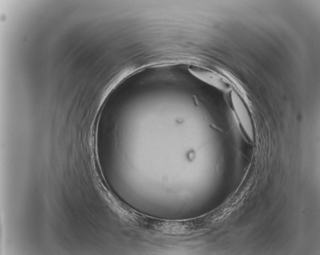 X0000087400907200705042032