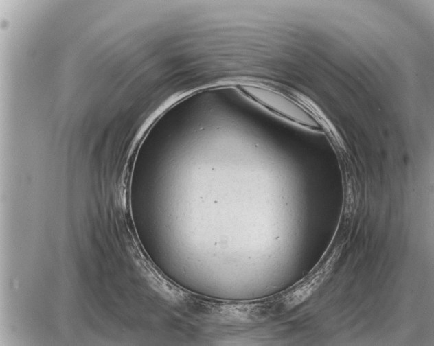 X0000087400908200705042032