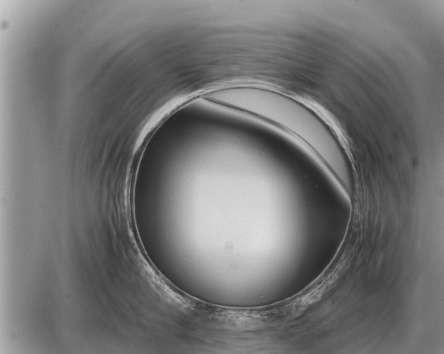 X0000087400910200705042032