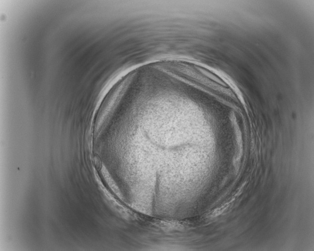 X0000087400911200705042032