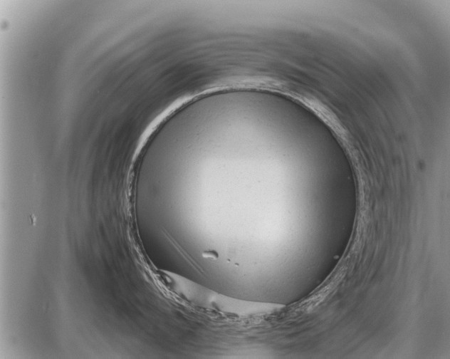 X0000087400912200705042032