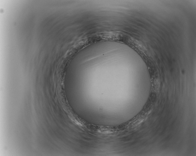 X0000087400913200705042031