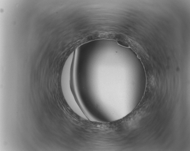 X0000087400914200705042031