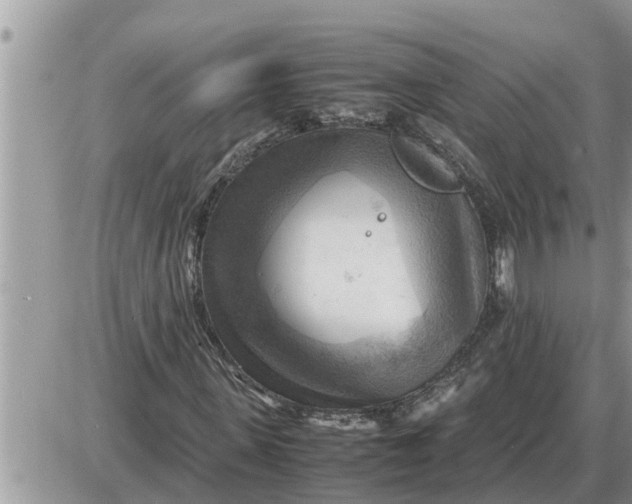 X0000087400915200705042031