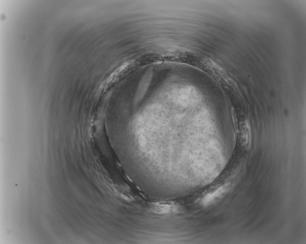 X0000087400916200705042031