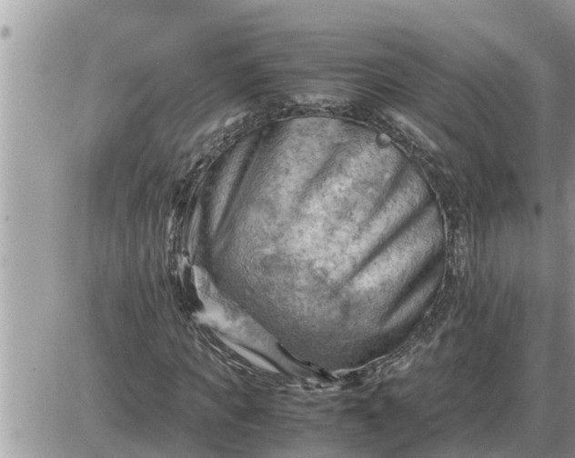 X0000087400917200705042031