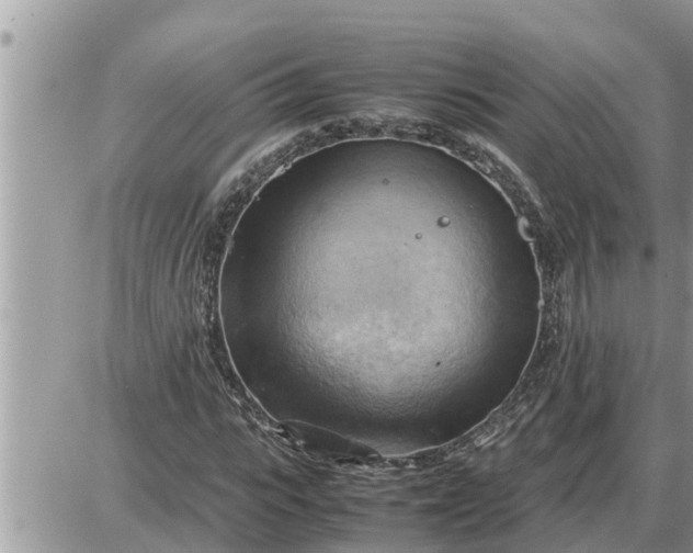 X0000087400919200705042031