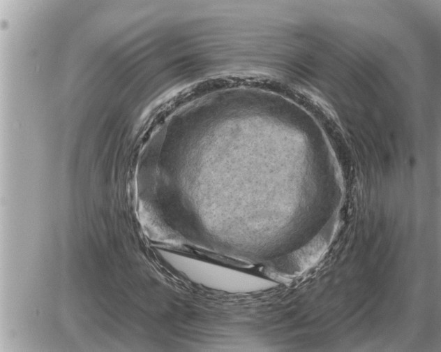 X0000087400920200705042031