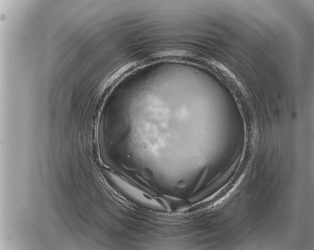 X0000087400921200705042031