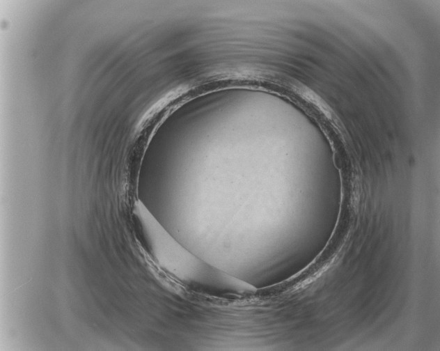 X0000087400922200705042031