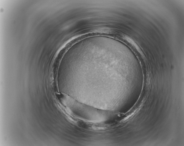 X0000087400923200705042031