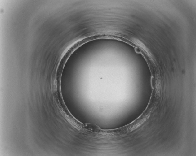 X0000087400924200705042032