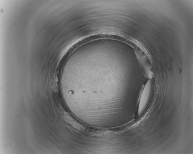 X0000087400926200705042032