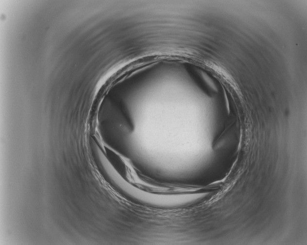 X0000087400928200705042032