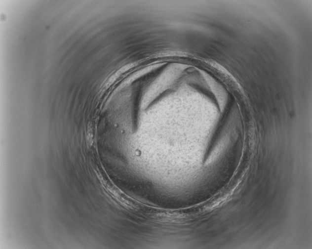 X0000087400929200705042032