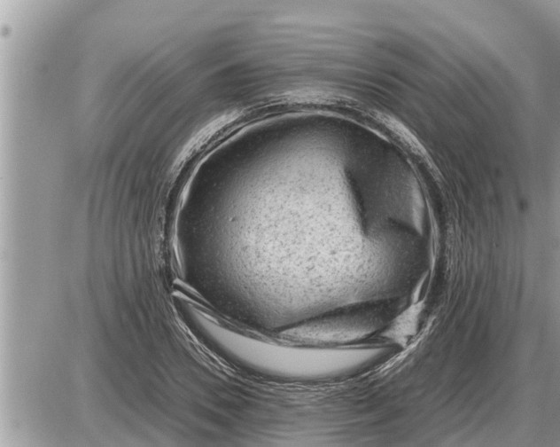 X0000087400930200705042032