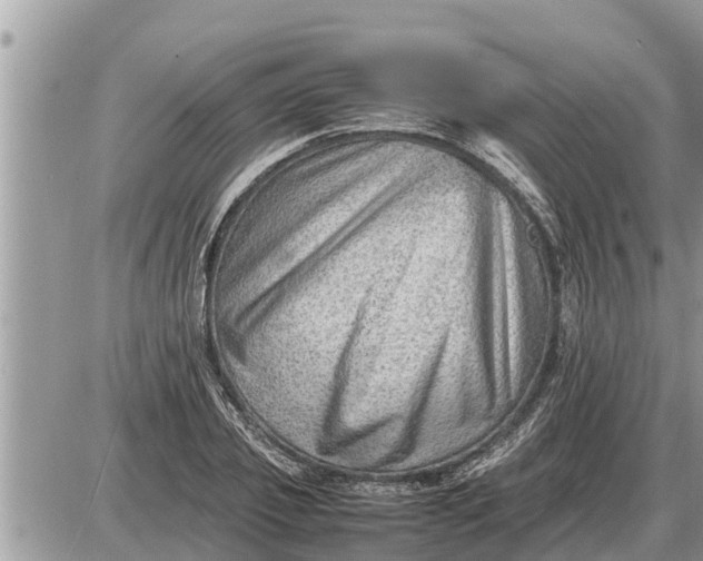 X0000087400933200705042032