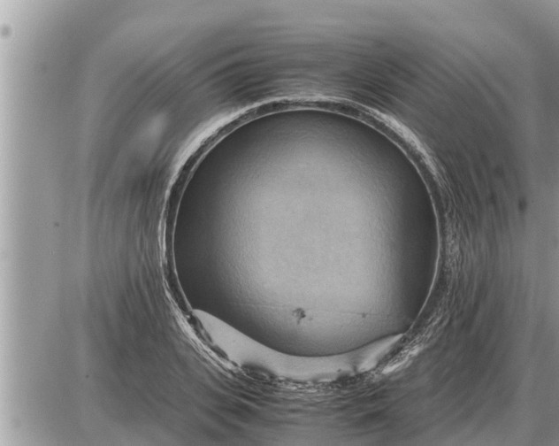 X0000087400935200705042032