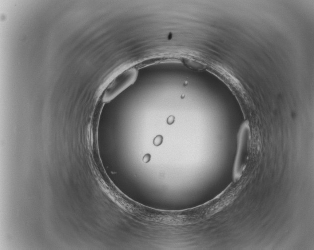 X0000087400936200705042032