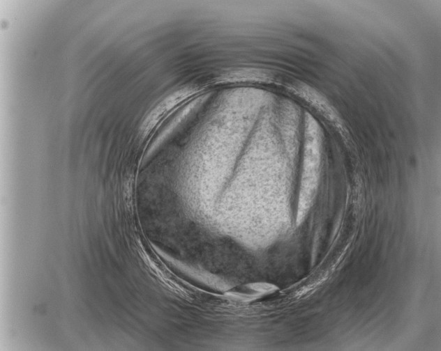 X0000087400937200705042032