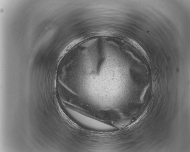 X0000087400938200705042032