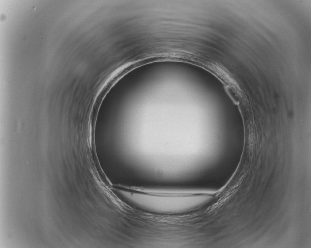 X0000087400940200705042032