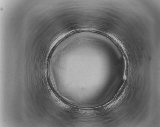 X0000087400941200705042032