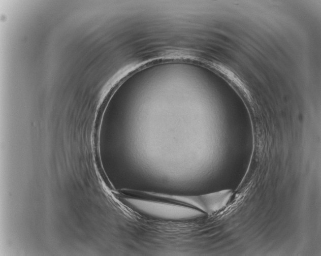 X0000087400943200705042032