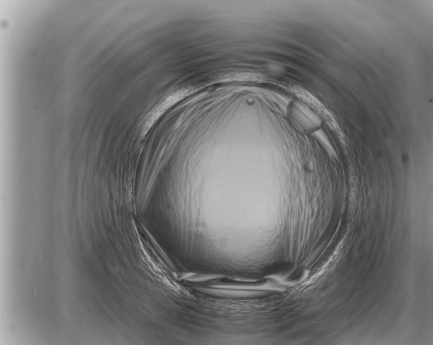 X0000087400945200705042032