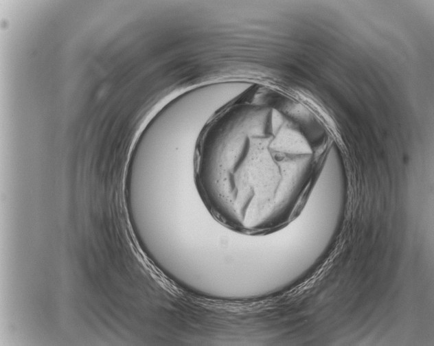 X0000087400948200705042032