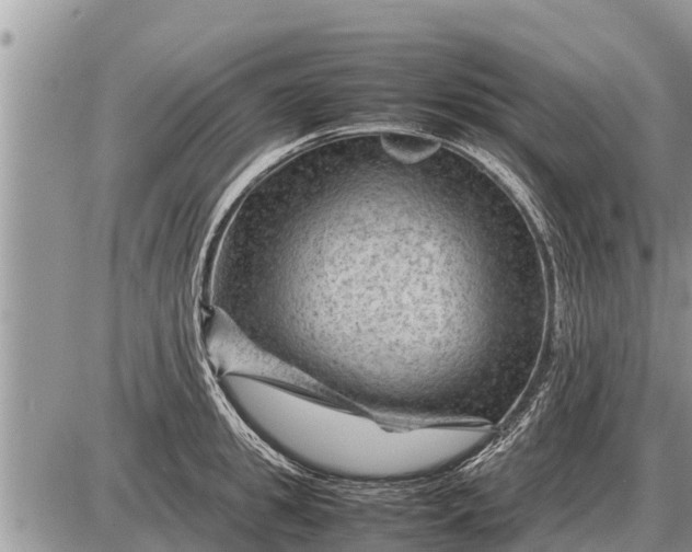 X0000087400949200705042032