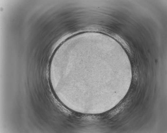 X0000087400950200705042032