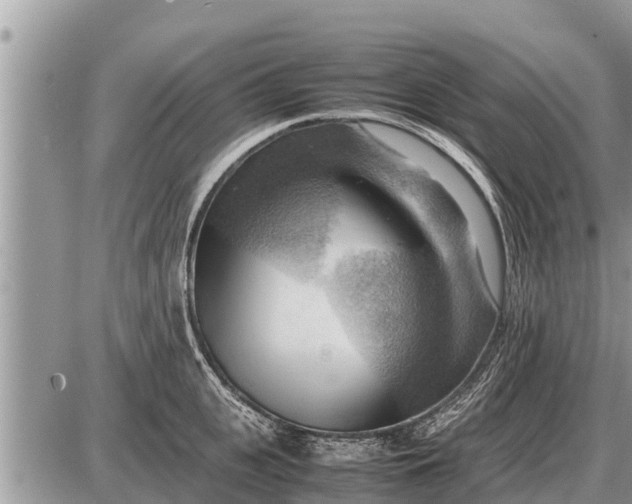 X0000087400951200705042032