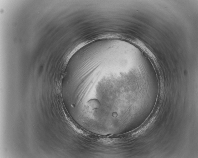 X0000087400953200705042032