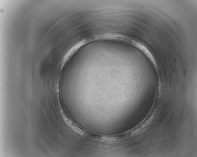 X0000087400954200705042032