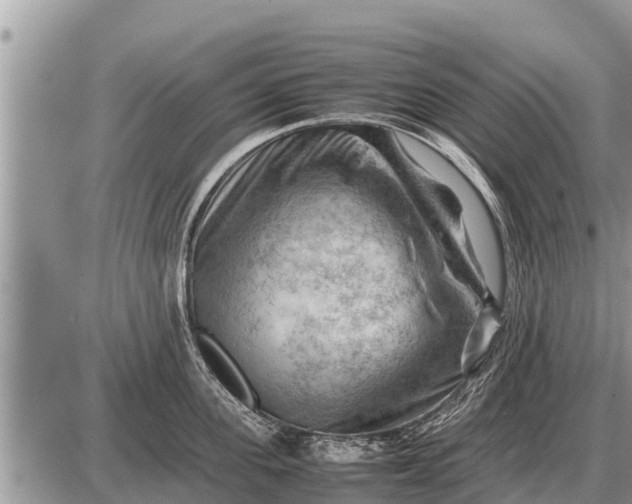 X0000087400955200705042032