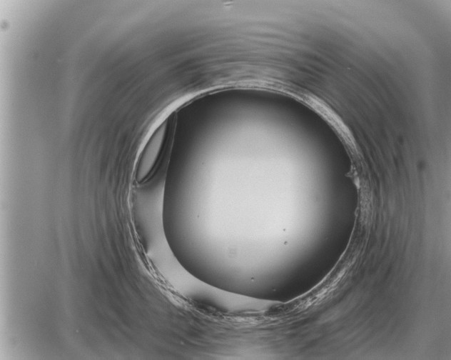 X0000087400956200705042032